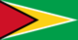 guyana.svg3